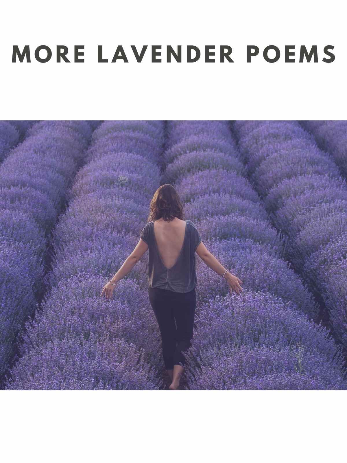 Purple flower poems