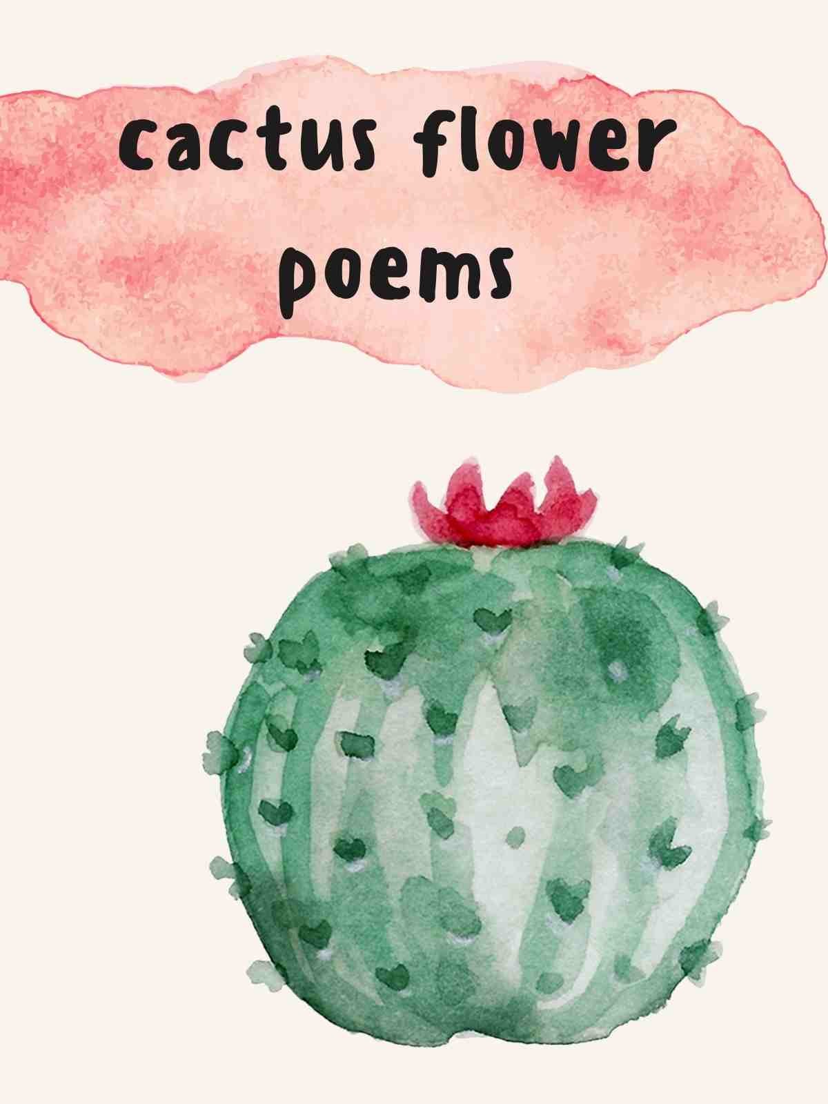 Desert Cactus flower poems