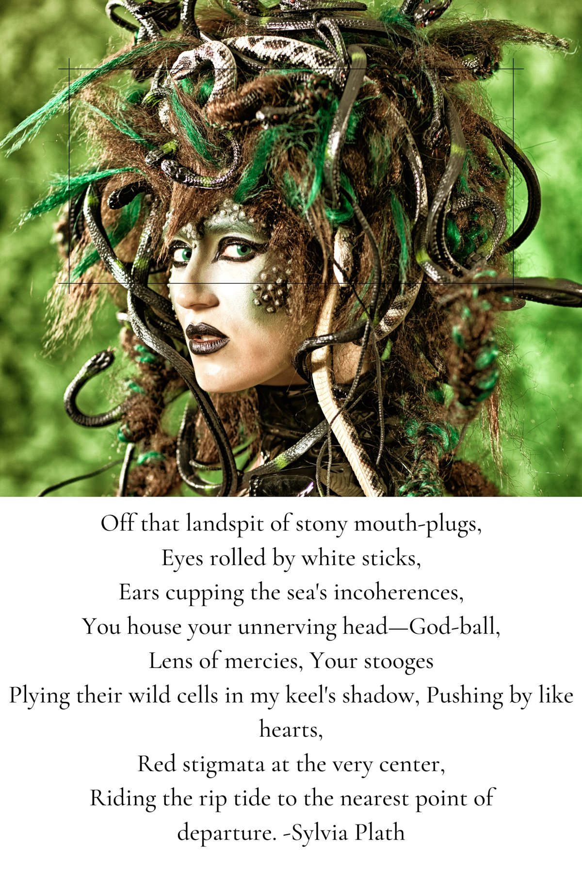 Medusa Poems