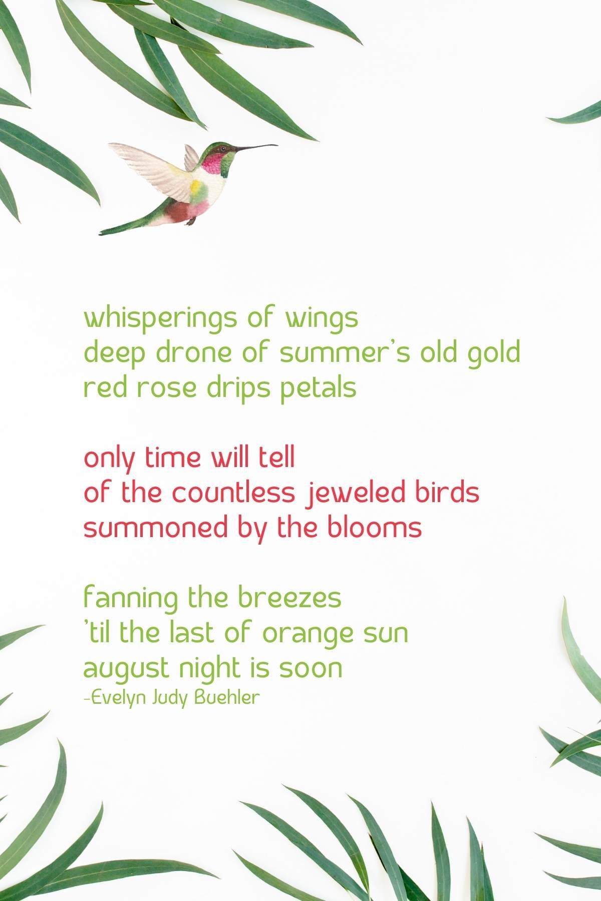 hummingbird poem