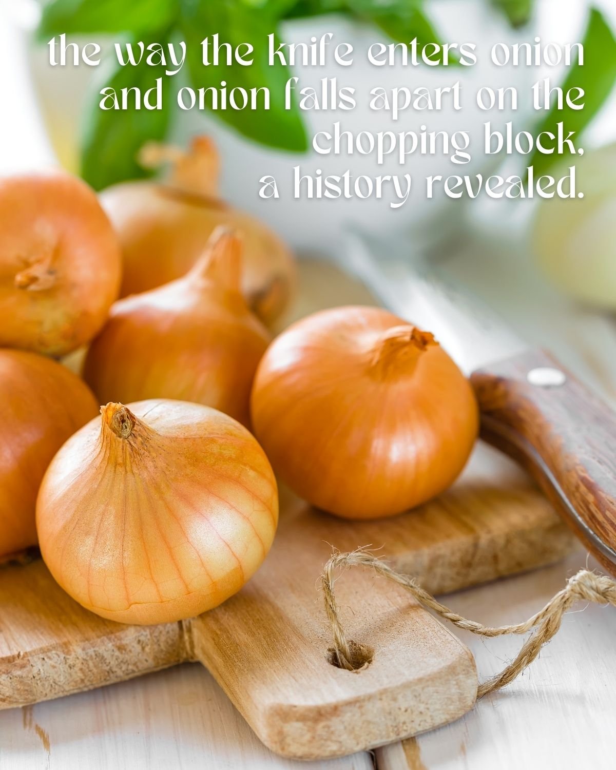 Onions on a cutting board 