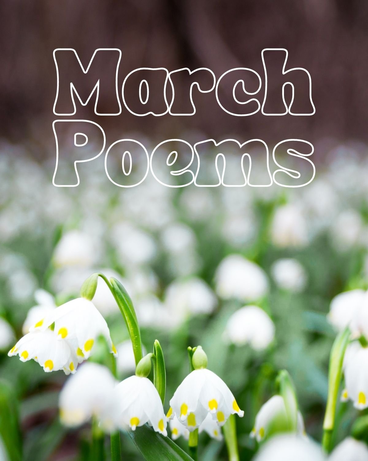 March Poems About A field of flowers