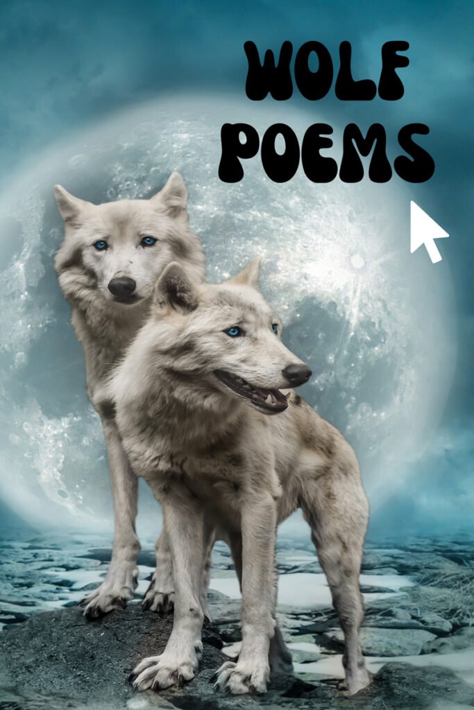 27 Impactful Wolf Poems - Aestheticpoems