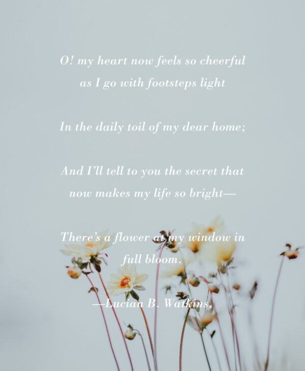 23 Enchanting Flower Poems - Aestheticpoems