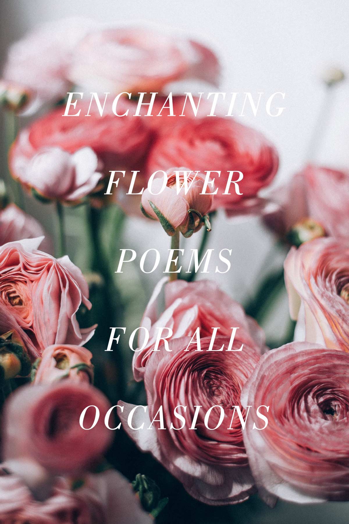 Enchanting Flower Poems