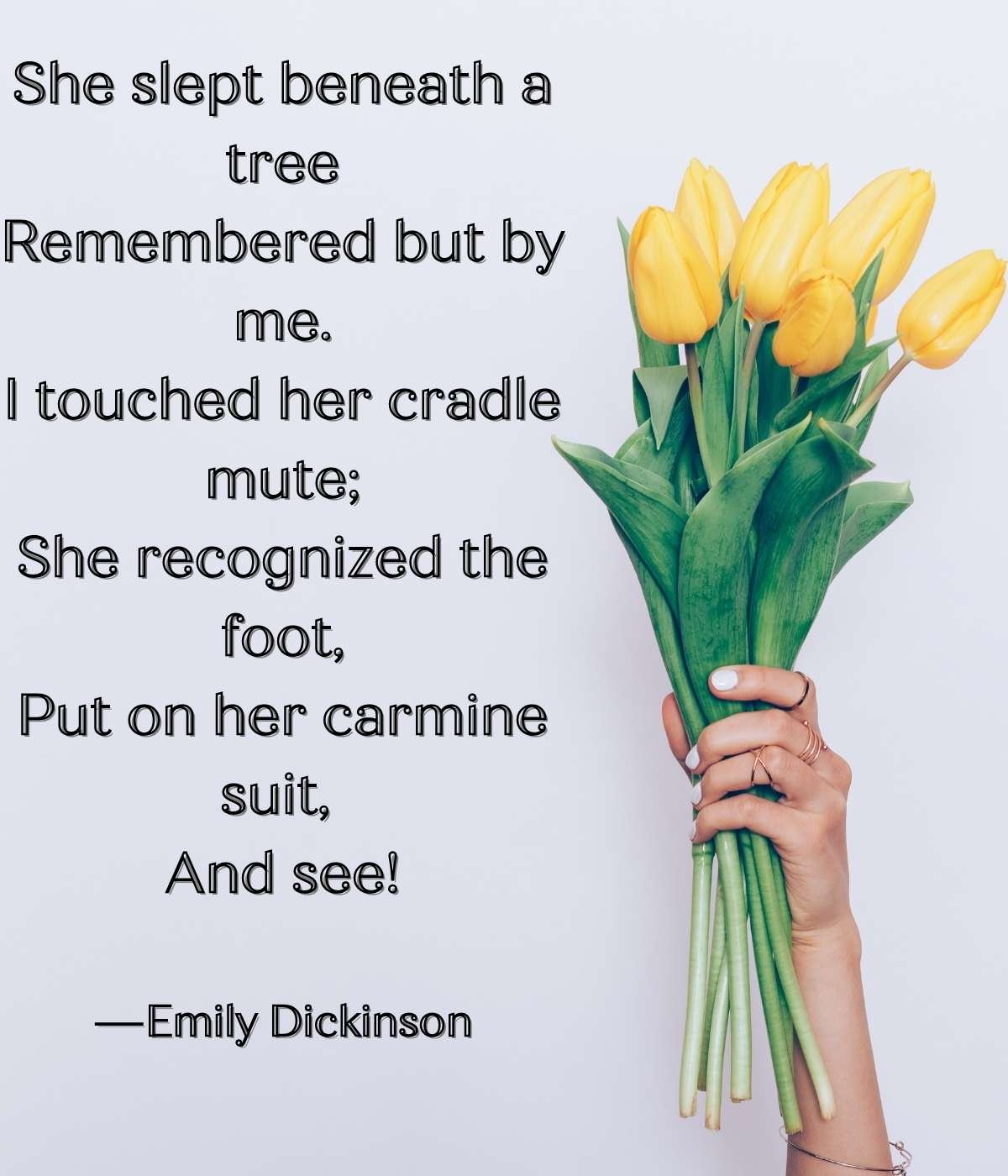 Poems with tulip symbolism 