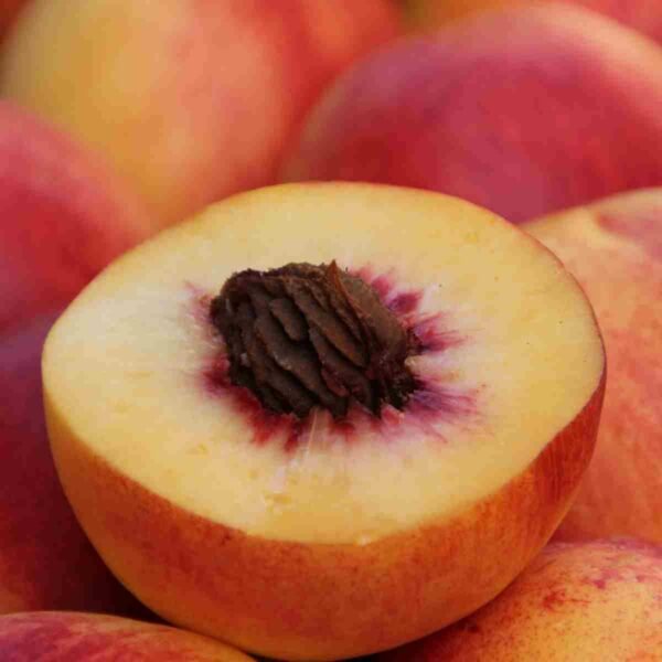 19 Best Peach Poems - Aestheticpoems