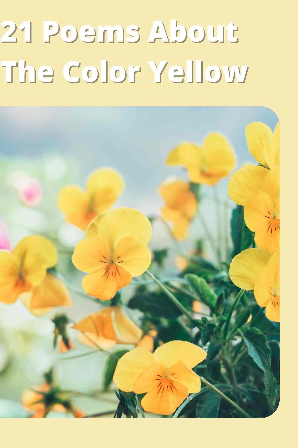 21 Poems About The Color Yellow Aestheticpoems