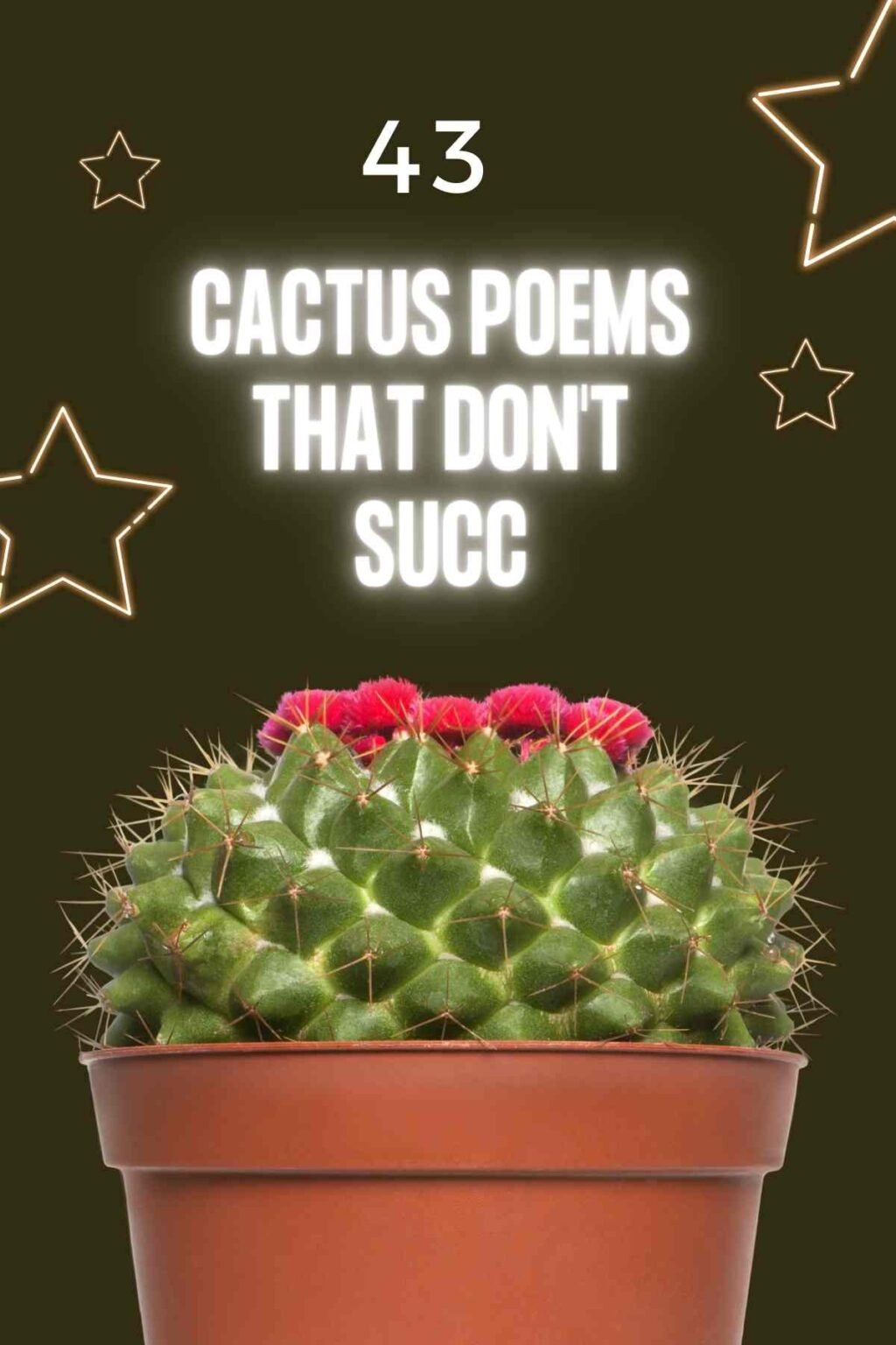 43 Cactus Poems That Don't Succ Aestheticpoems