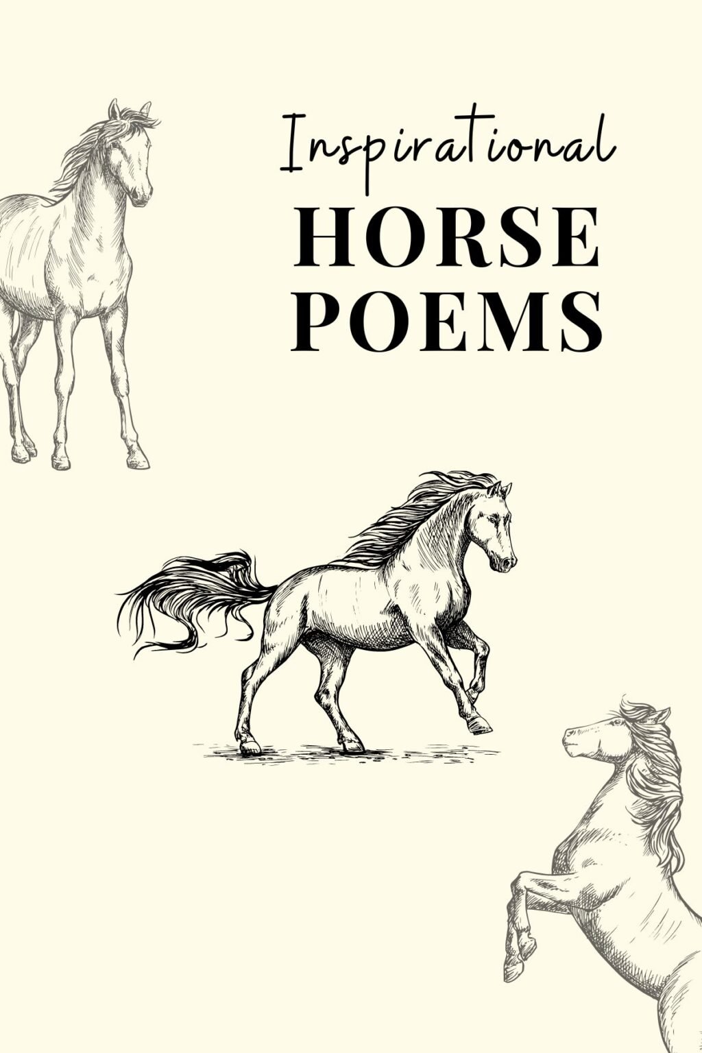 27 Inspirational Horse Poems - Aestheticpoems