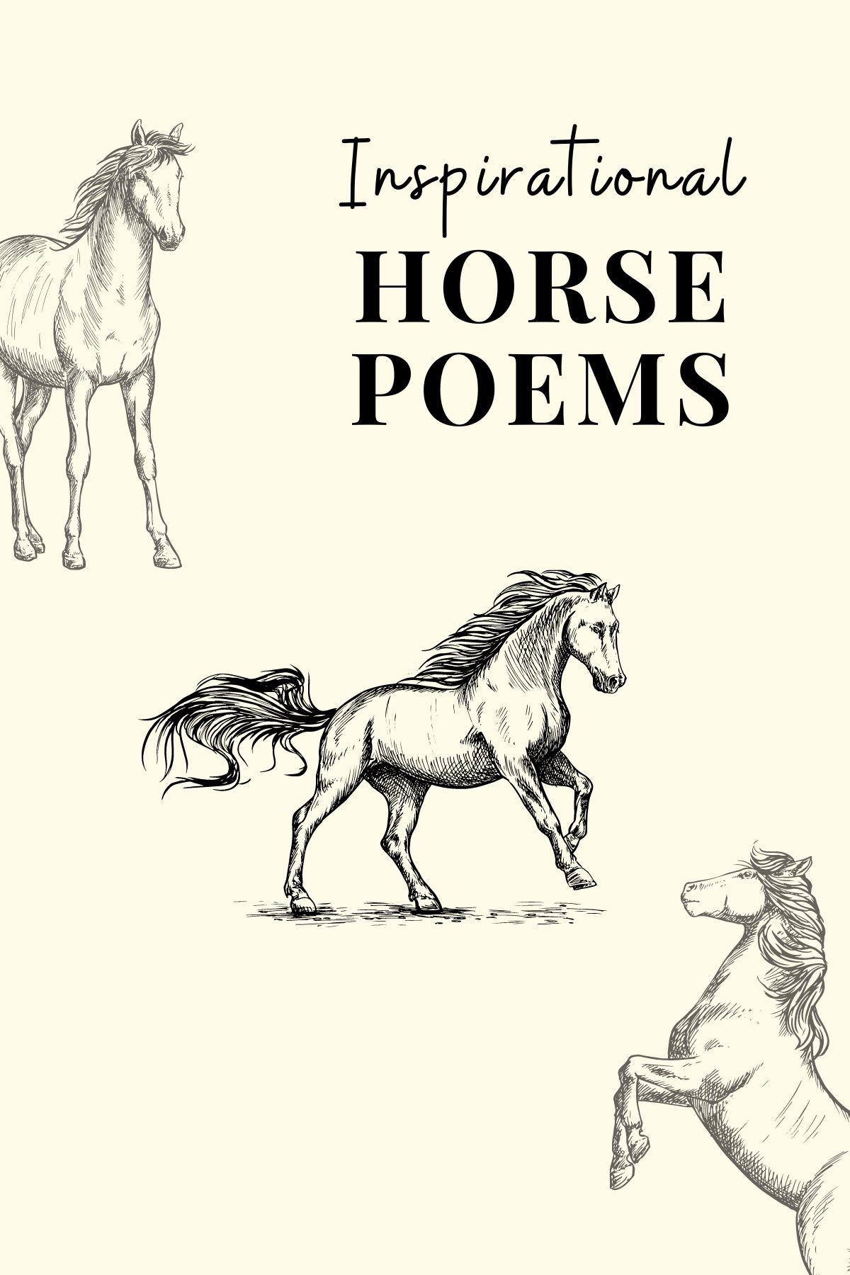 illustrated inspirational horse poems