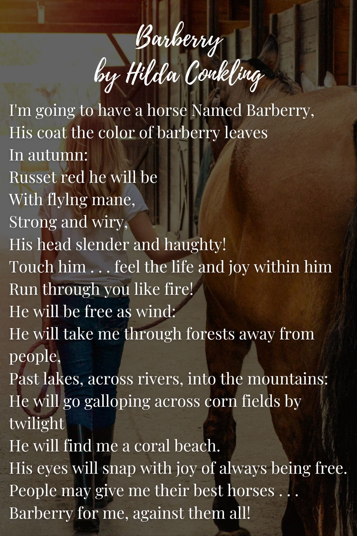 How to have a horse poetry