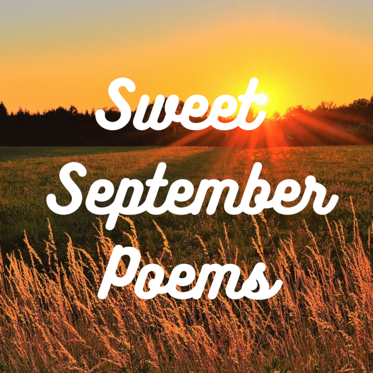 Sweet September Poems Field Sunset Picture