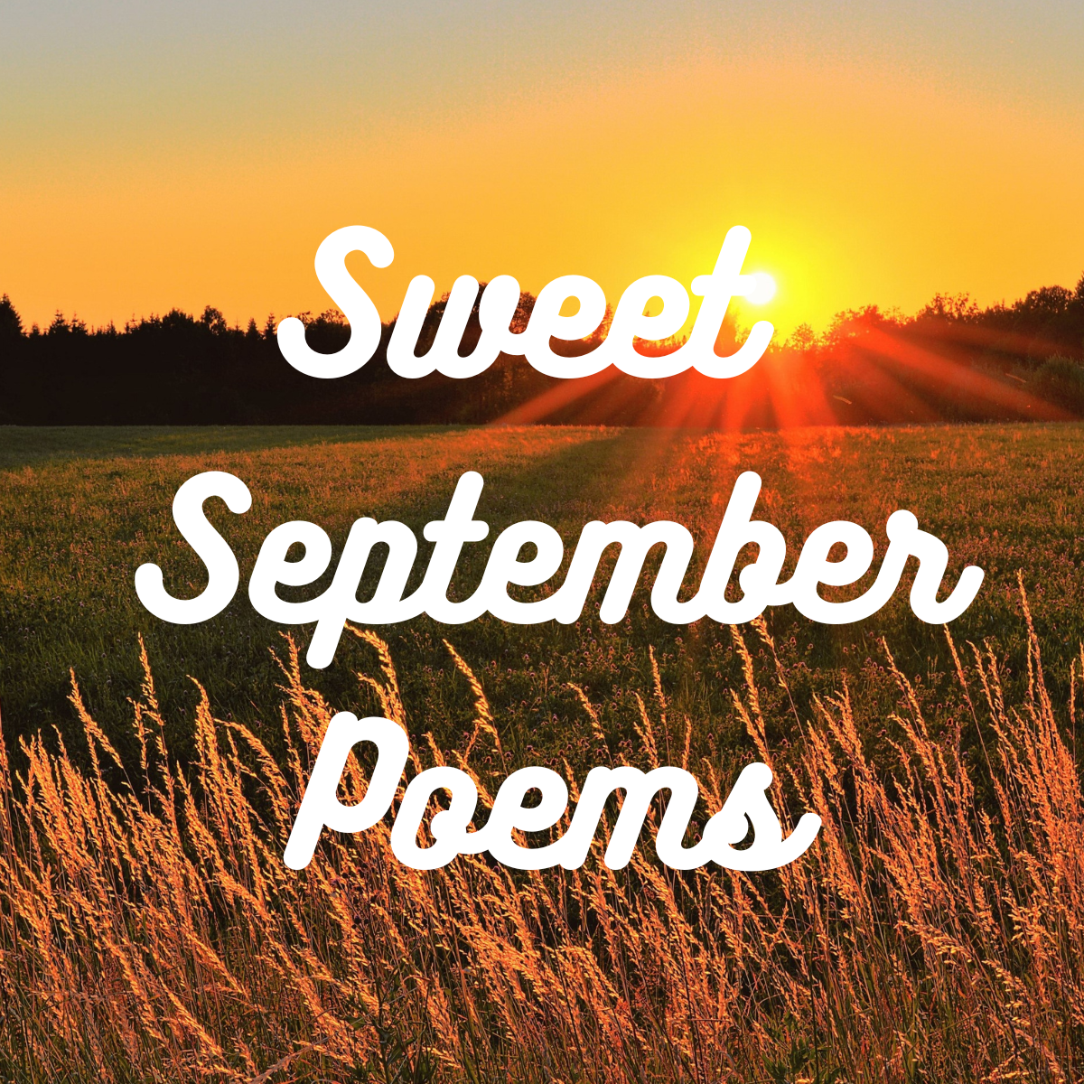 Sweet September Poems Field Sunset Picture