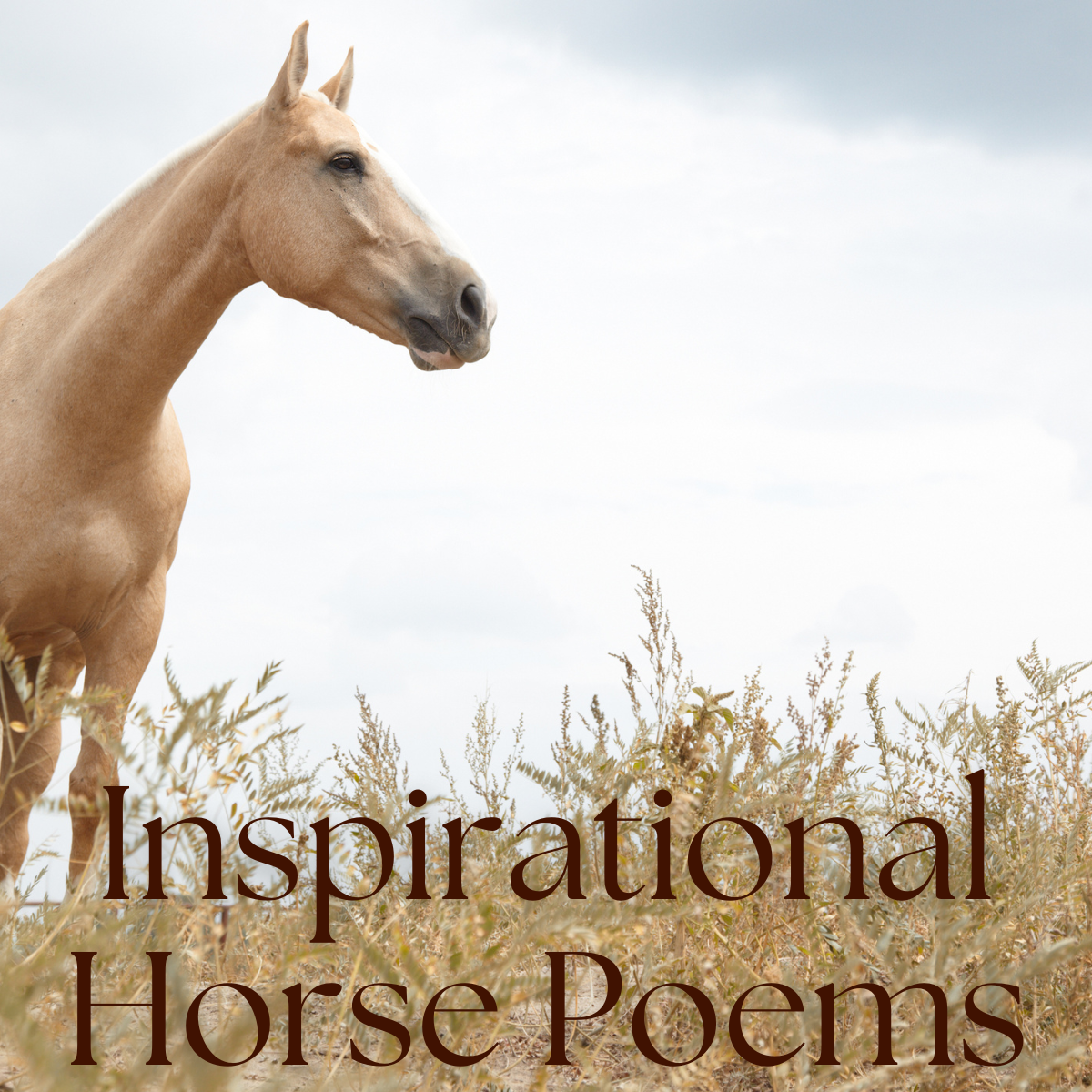 inspirational horse poems featured image