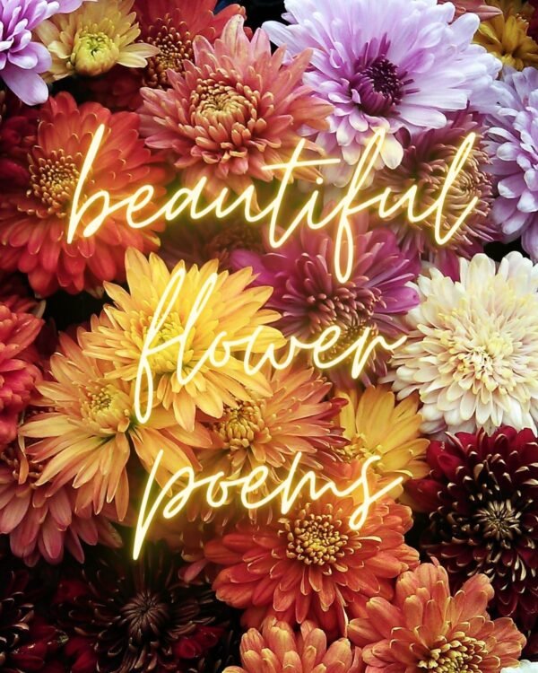 21 Beautifully Short Flower Poems - Aestheticpoems