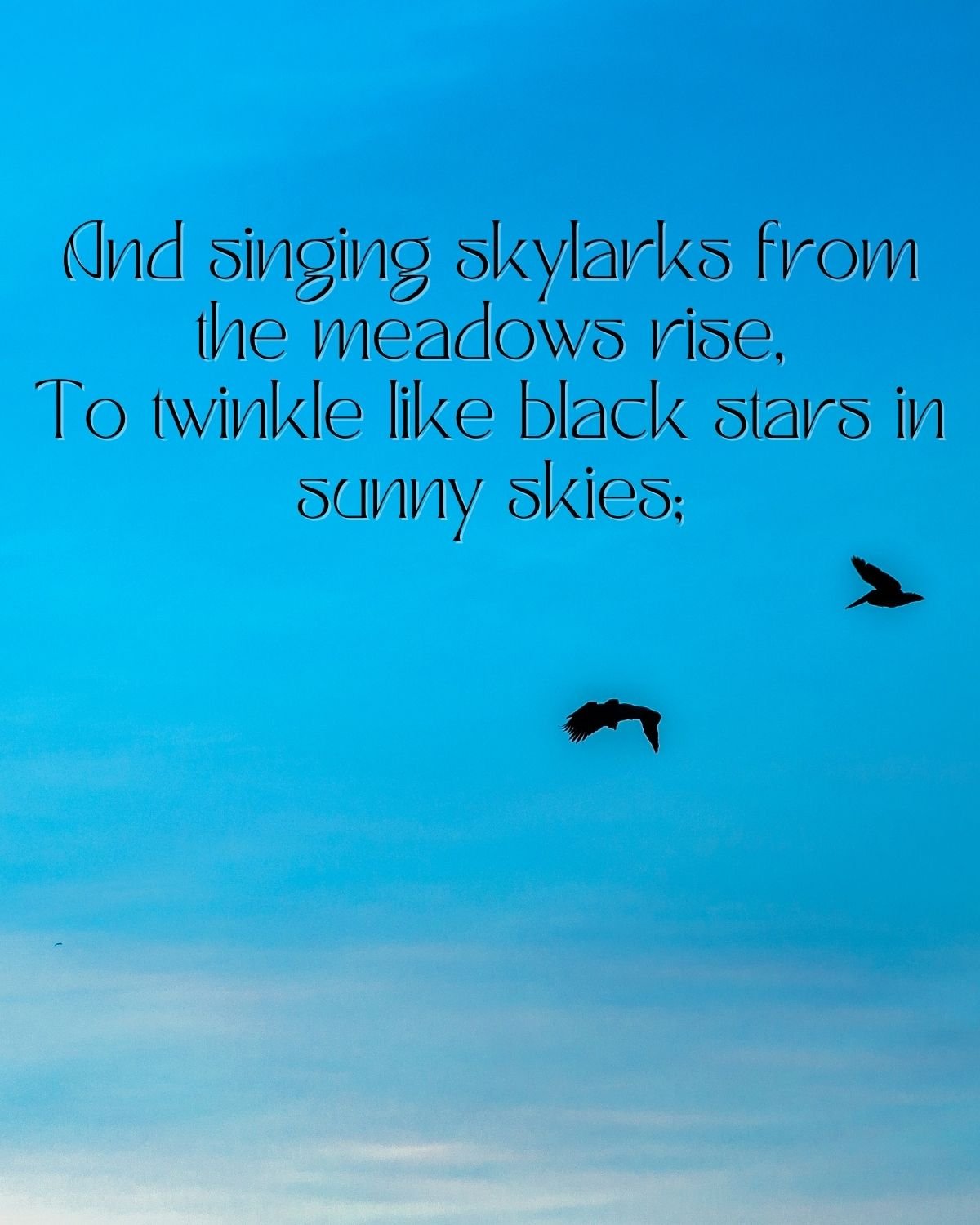 Black birds on a blue sky