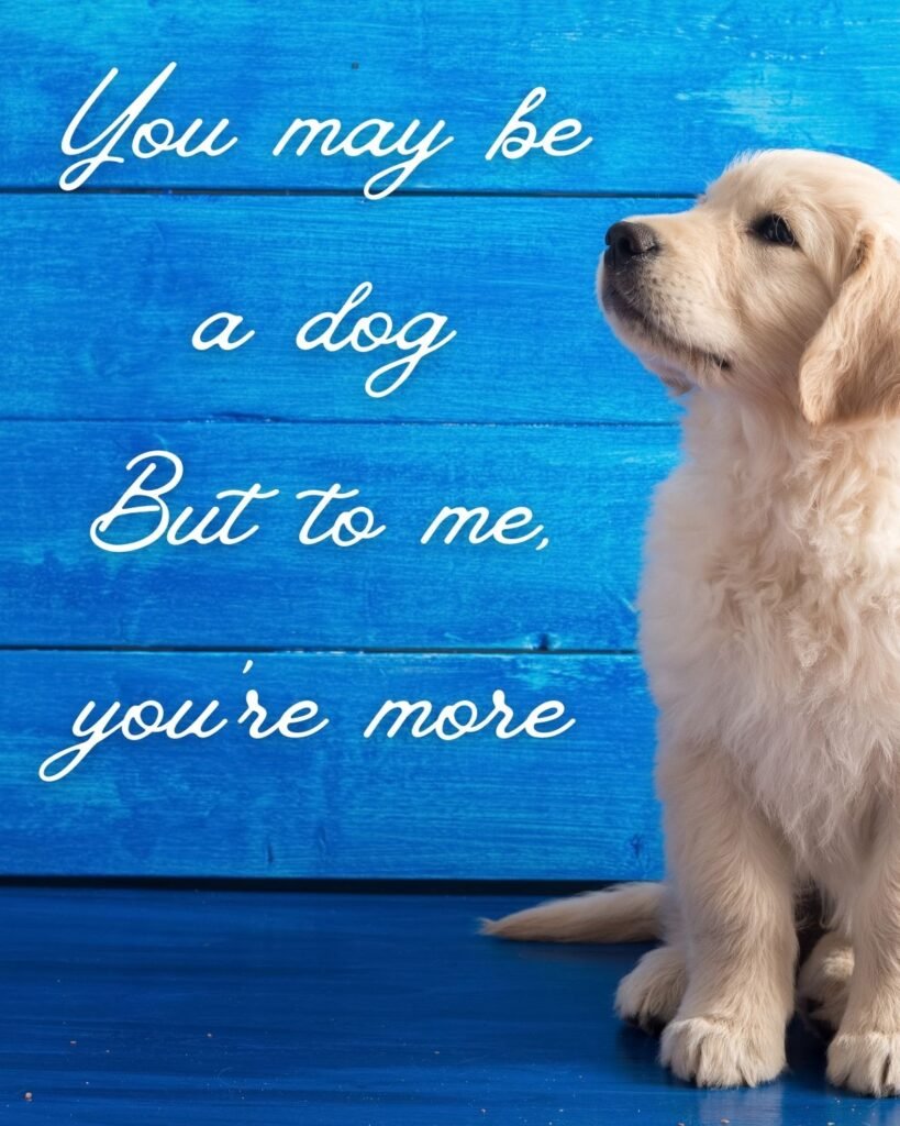 31 Precious Puppy Poems To Gush Over - Aestheticpoems