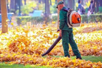Spring-vs-Fall-Landscape-Cleanup-Services