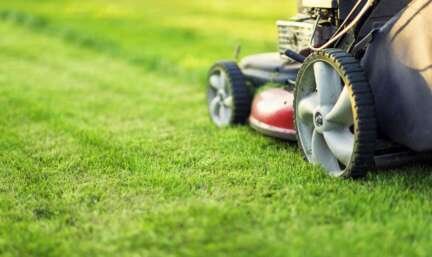 How Often Do I Need Lawn Care Service?