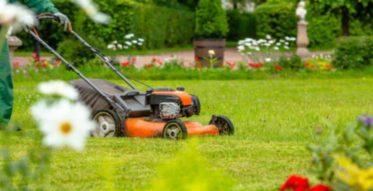 Gardening Services: What You Need To Know