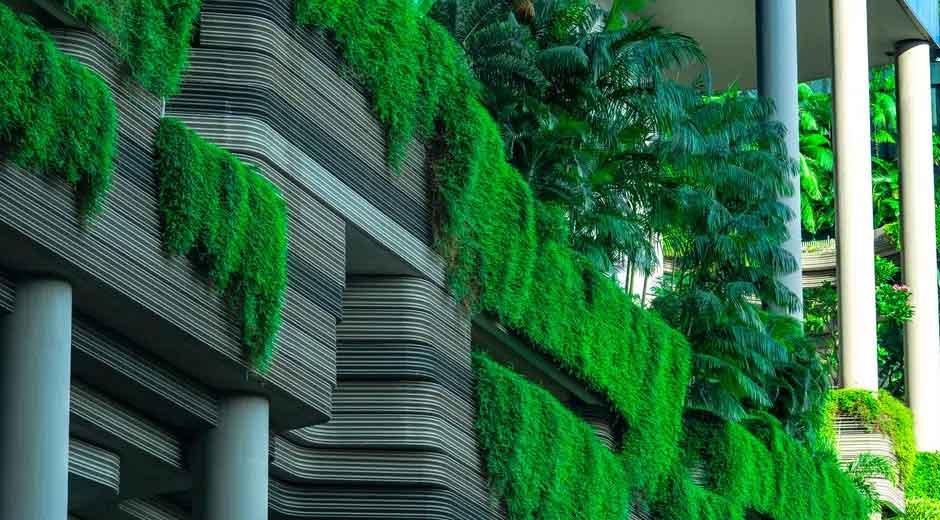 Innovative Uses of Sustainable Materials in Modern Businesses