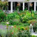 How to Choose the Most Fragrant Flowers for Your Garden