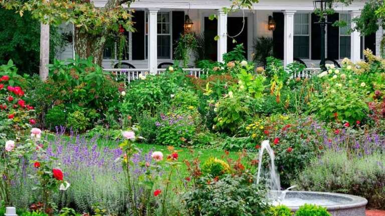 How to Choose the Most Fragrant Flowers for Your Garden