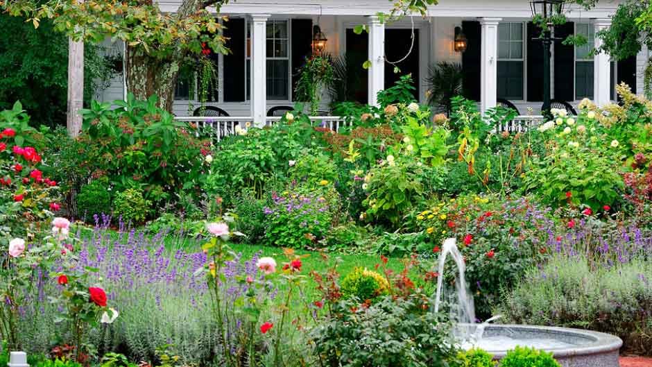 How to Choose the Most Fragrant Flowers for Your Garden