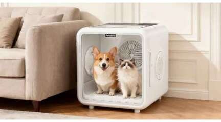 Creating a Stress-Free Drying Experience for Your Pet at Home